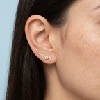 Stella Gold Flower and Star Crystal Ear Climbers