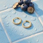 Anna Circle Hoops