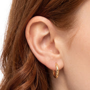 Close-up of the Lelice Molly Hoop Earrings in gold on the ear