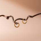 Molly Hoop Earrings - Earrings - Lelice Jewelry