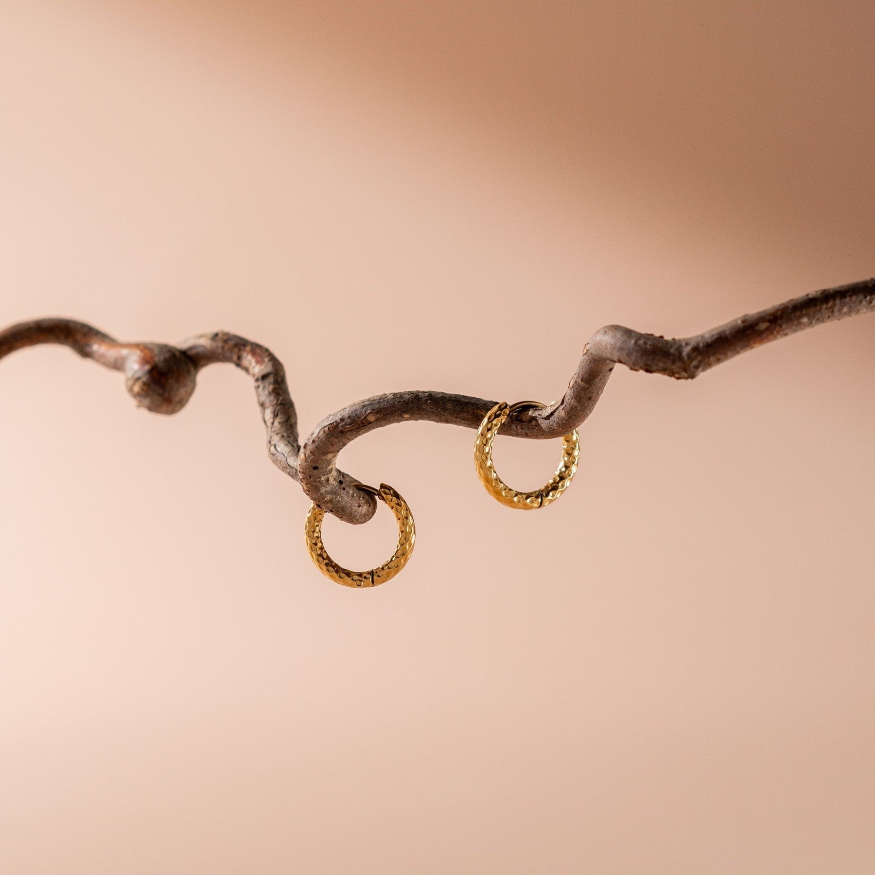 Molly Hoop Earrings - Earrings - Lelice Jewelry