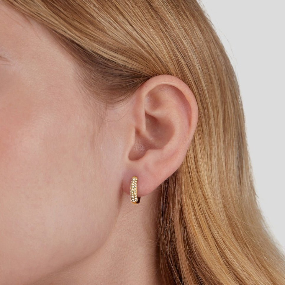 Rose Sparkle Hoops - Earrings - Lelice Jewelry