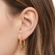 Close-up of the Lelice Zoe Spiral Earrings in gold on the ear